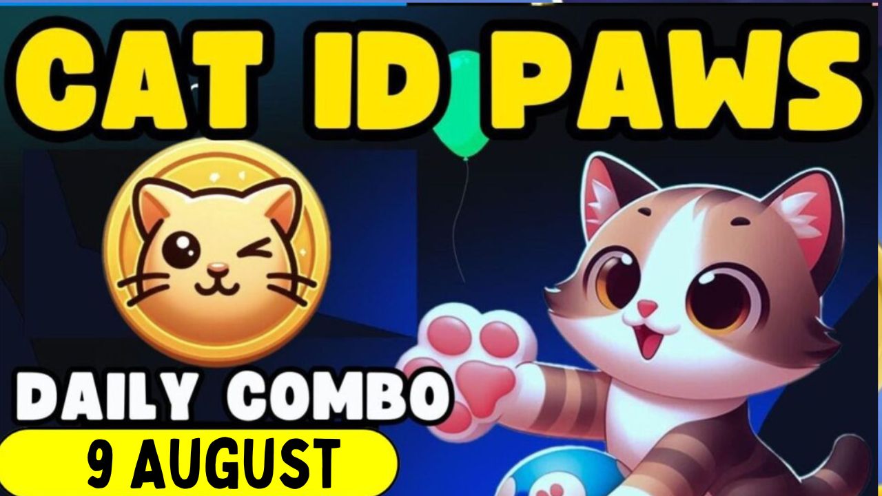 CatIdPaw daily combo 9 August