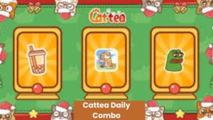 Cattea Daily Combo