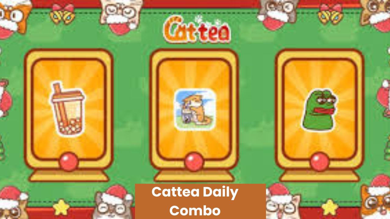 Cattea Daily Combo