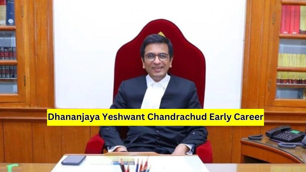 Dhananjaya Yeshwant Chandrachud Early Career