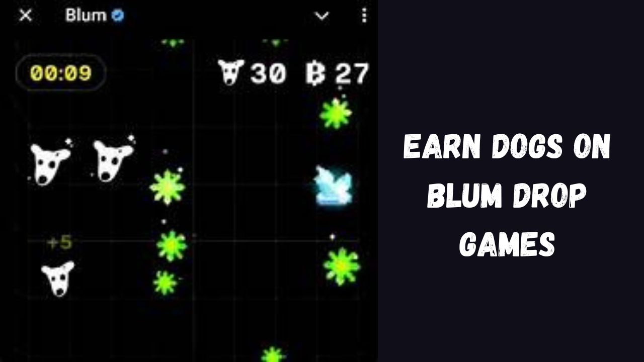 Earn DOGS on Blum Drop Games