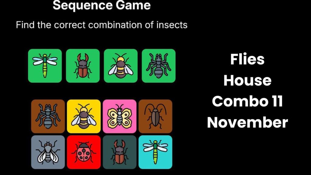 Flies House Combo 11 November