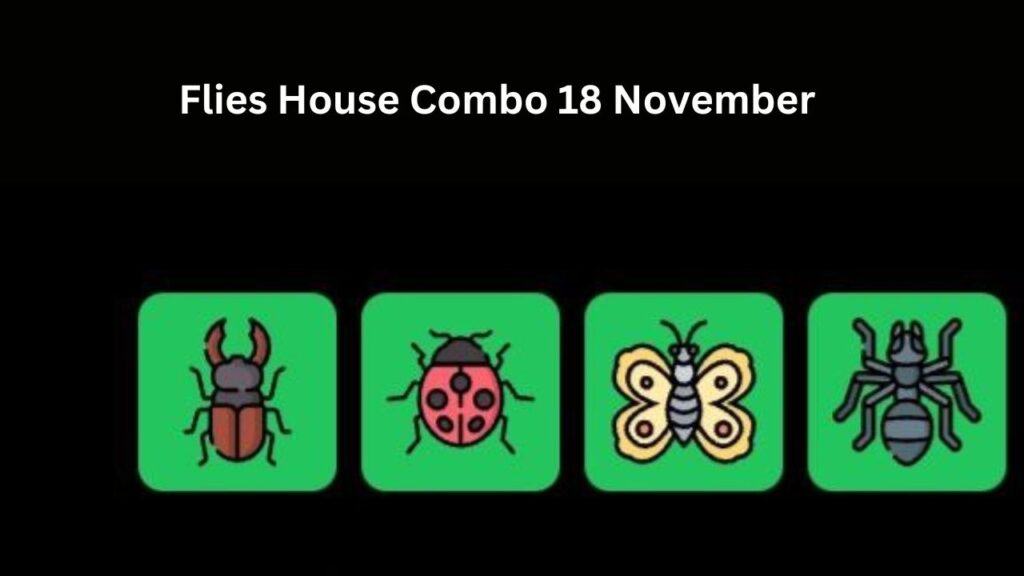 Flies House Combo 18 November