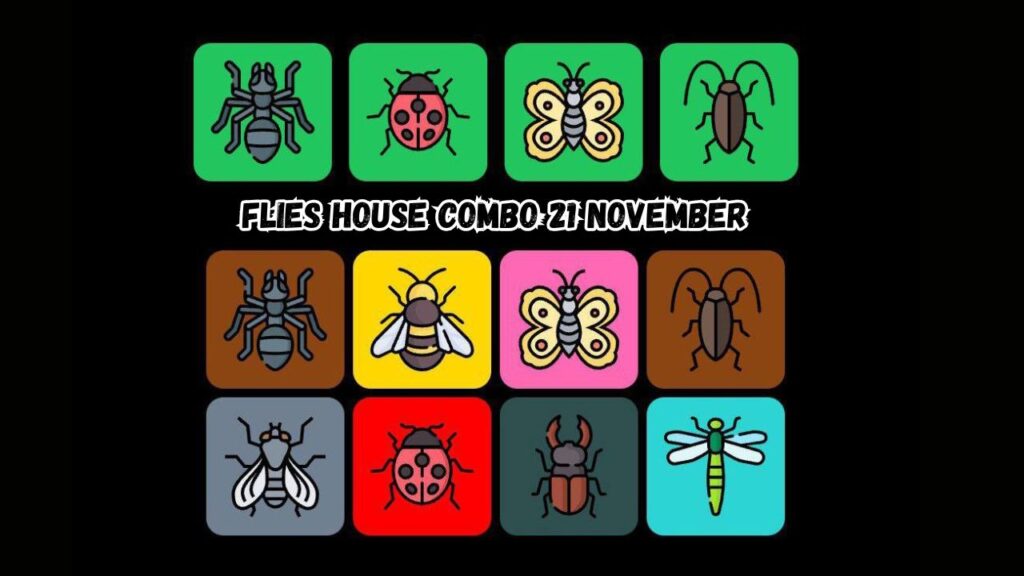 Flies House Combo 21 November