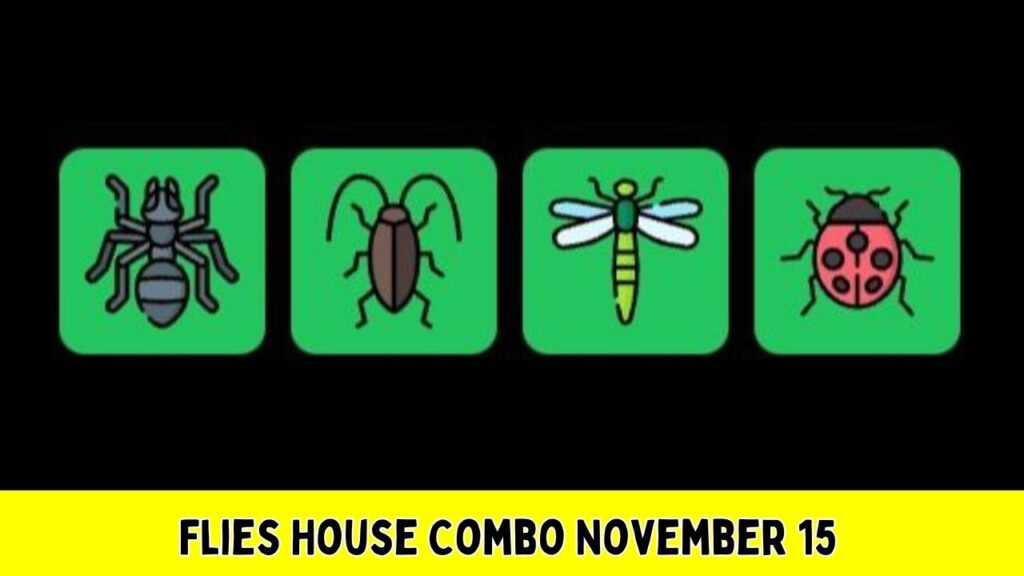 Flies House Combo November 15