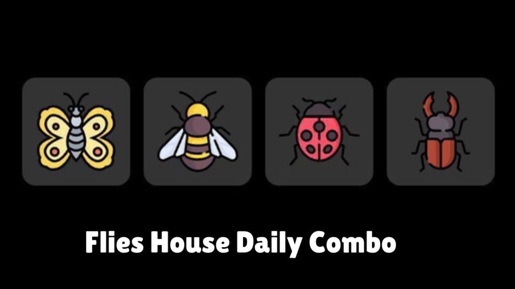 Flies House Daily Combo 