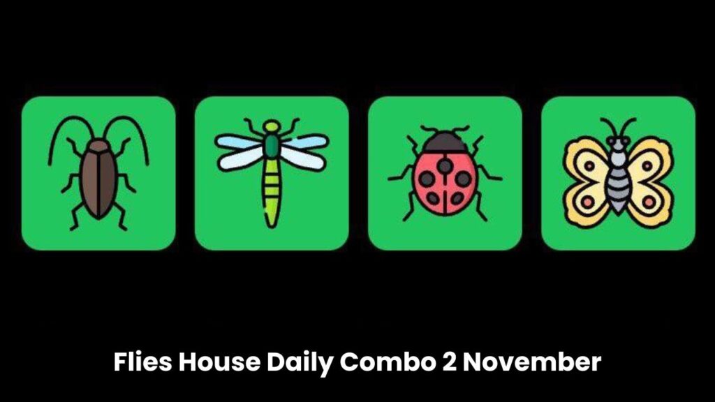 Flies House Daily Combo 2 November