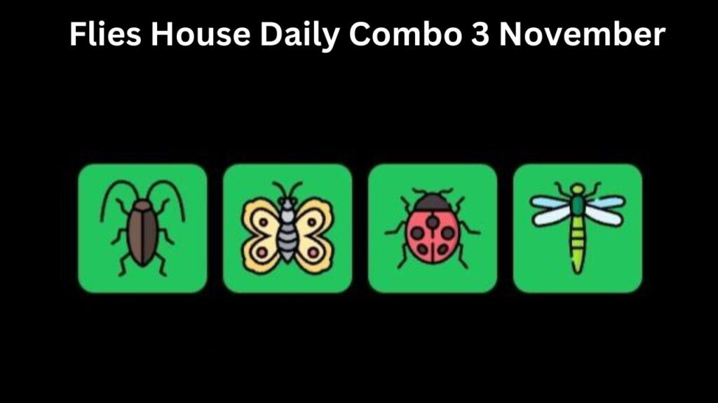 Flies House Daily Combo 3 November