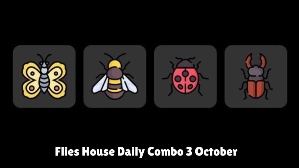 Flies House Daily Combo 3 October  