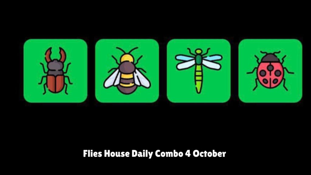 Flies House Daily Combo 4 October