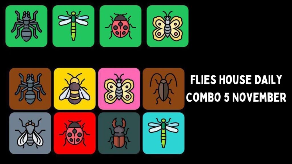 Flies House Daily Combo 5 November