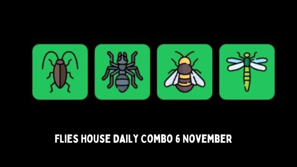 Flies House Daily Combo 6 November