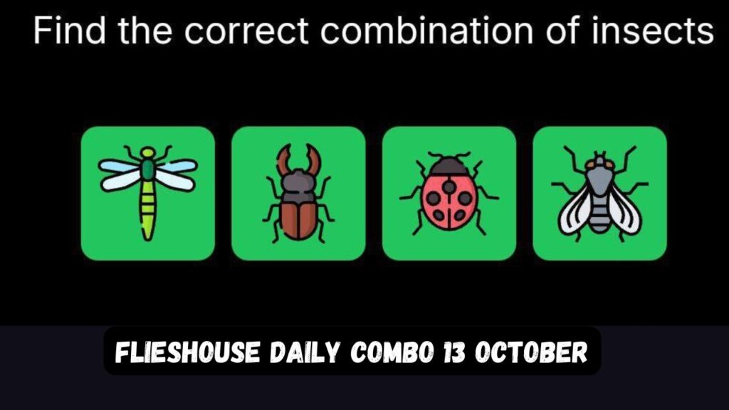 FliesHouse Daily Combo 13 October