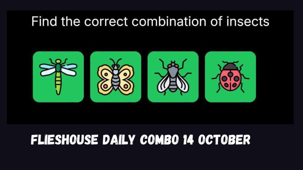 FliesHouse Daily Combo 14 October