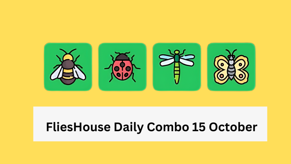 FliesHouse Daily Combo 15 October