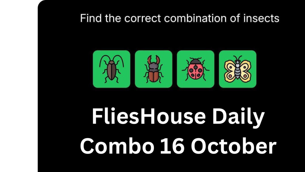 FliesHouse Daily Combo 16 October