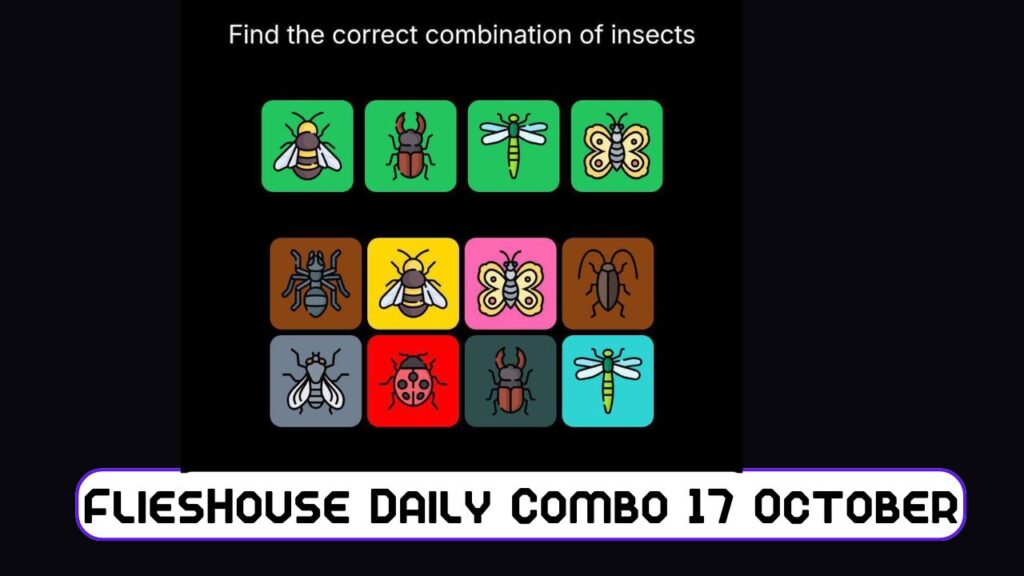 FliesHouse Daily Combo 17 October