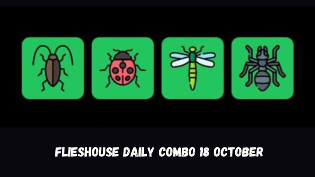 FliesHouse Daily Combo 18 October