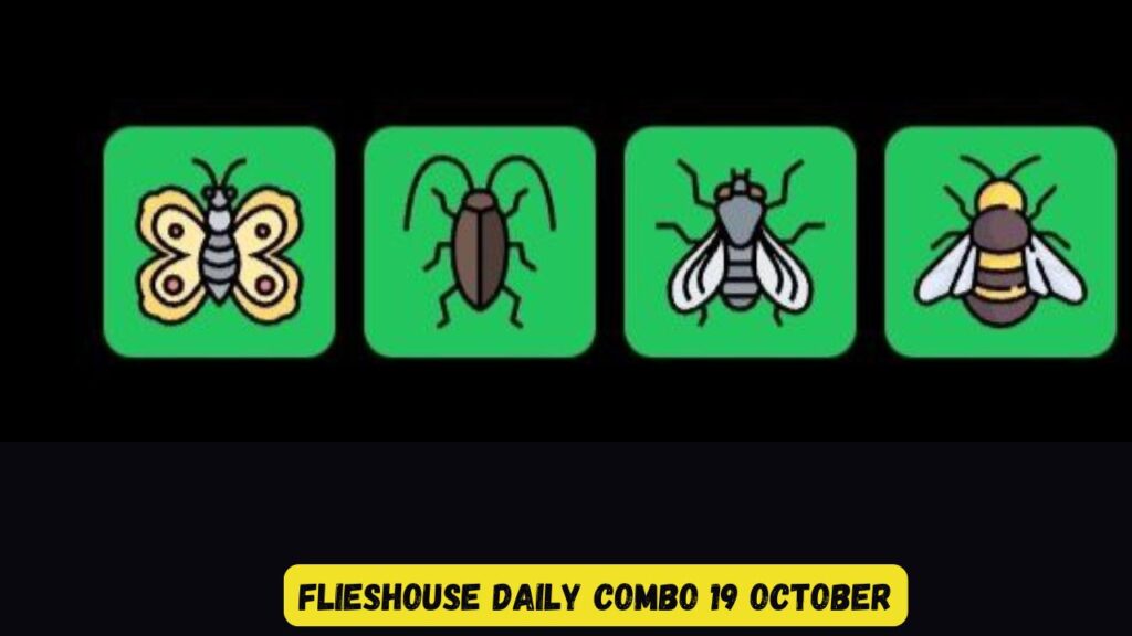 FliesHouse Daily Combo 19 October