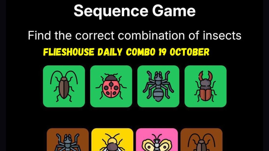 FliesHouse Daily Combo 19 October