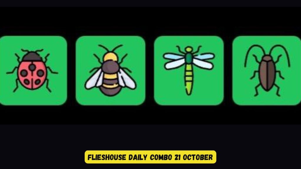 FliesHouse Daily Combo 21 October