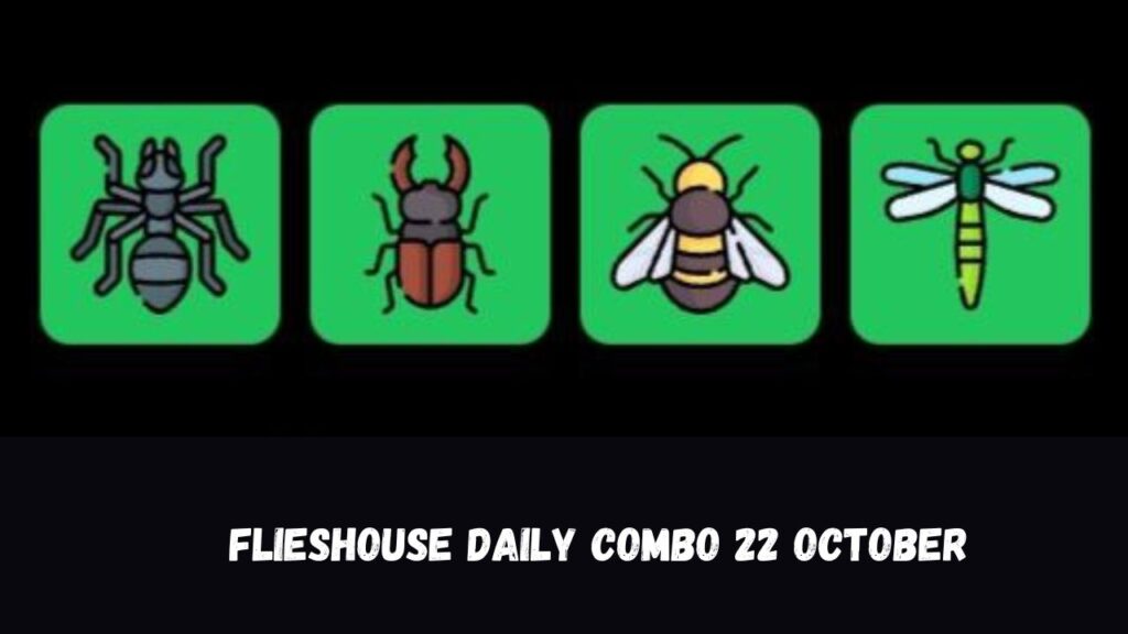 FliesHouse Daily Combo 22 October