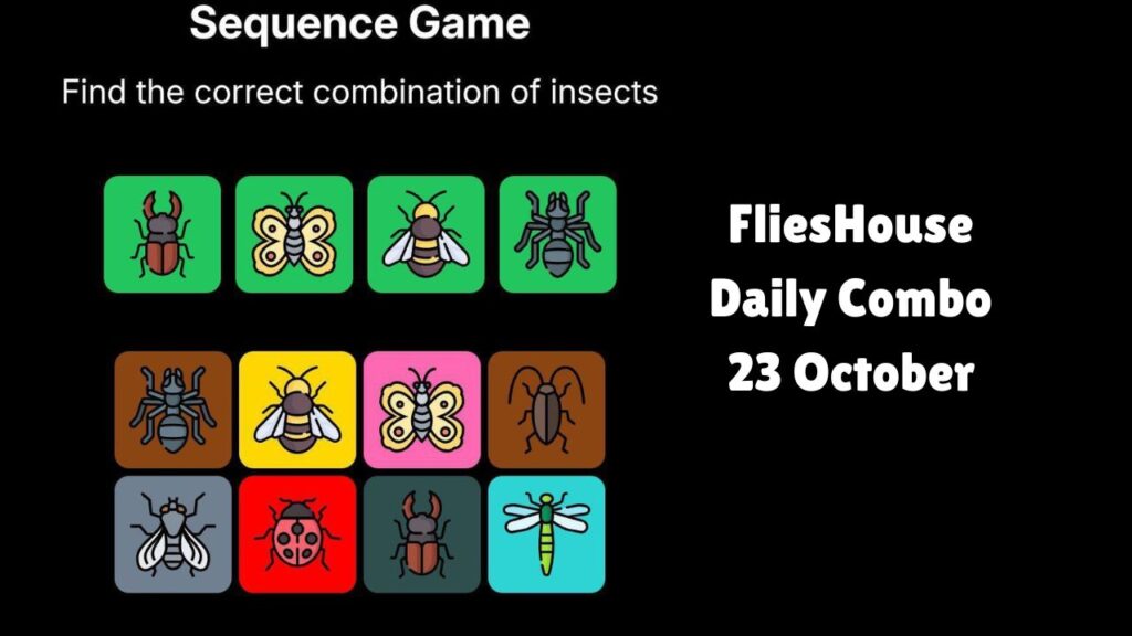 FliesHouse Daily Combo 23 October