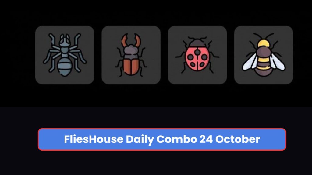 FliesHouse Daily Combo 24 October