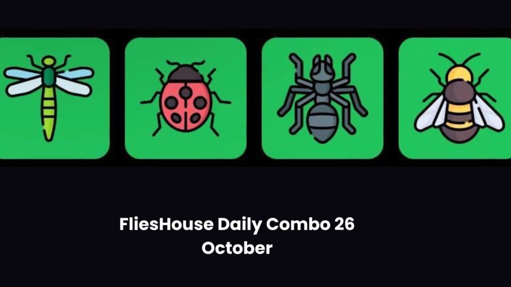 FliesHouse Daily Combo 26 October