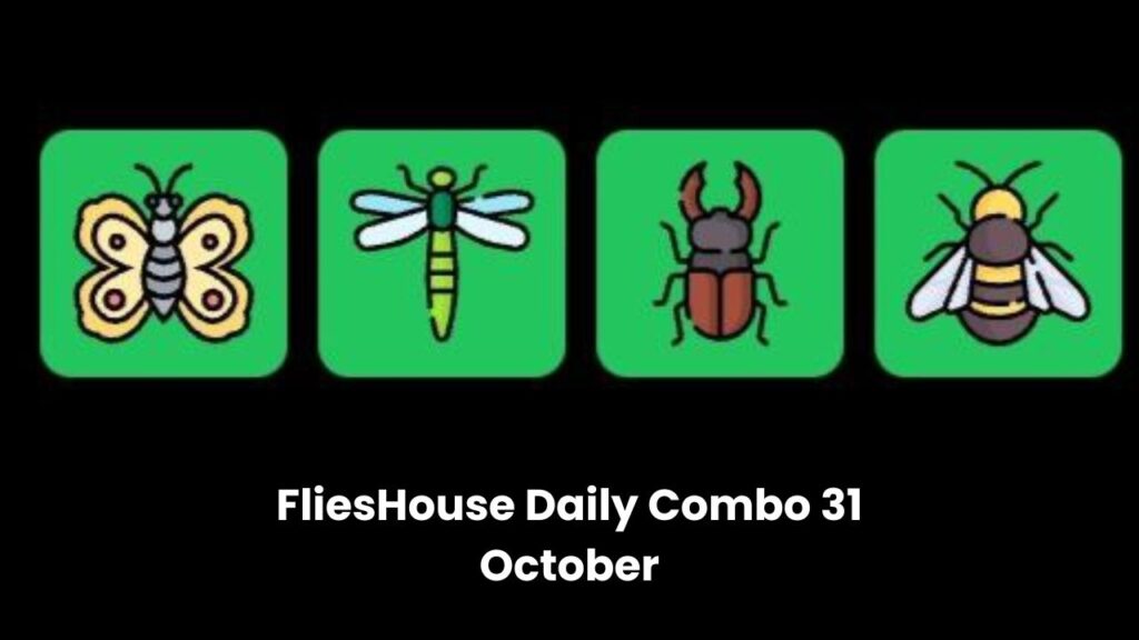 FliesHouse Daily Combo 31 October