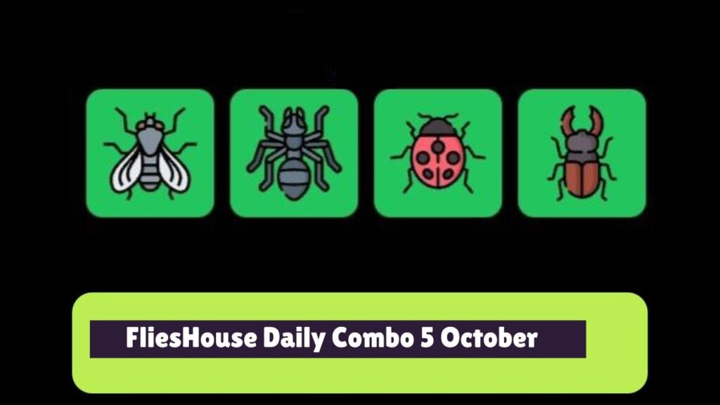 FliesHouse Daily Combo 5 October