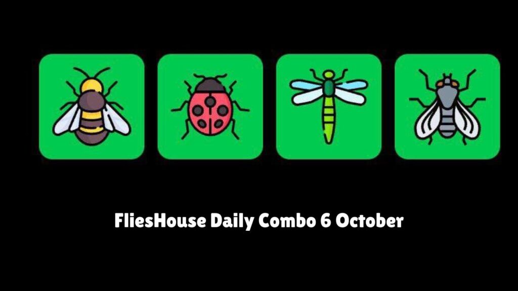 FliesHouse Daily Combo 6 October