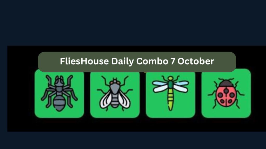 FliesHouse Daily Combo 7 October