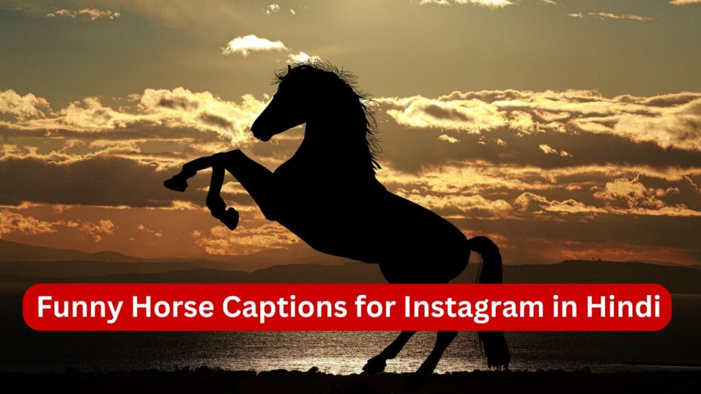 Funny Horse Captions for Instagram in Hindi