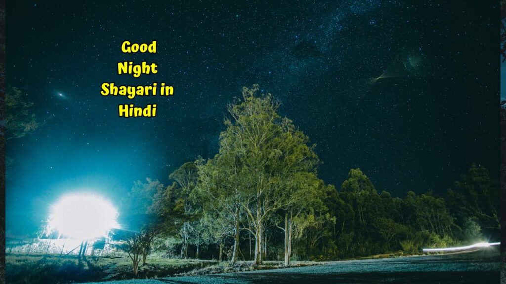 Good Night Shayari in Hindi