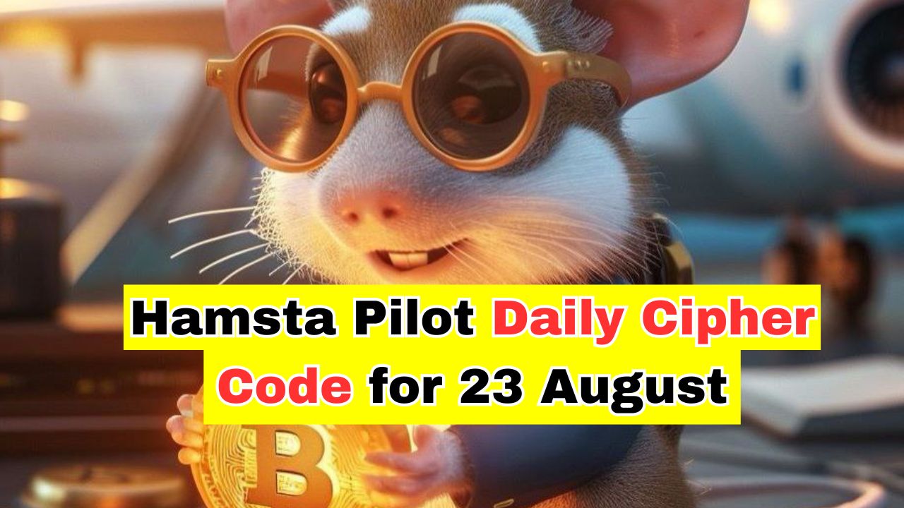 Hamsta Pilot Daily Cipher Code for 23 August