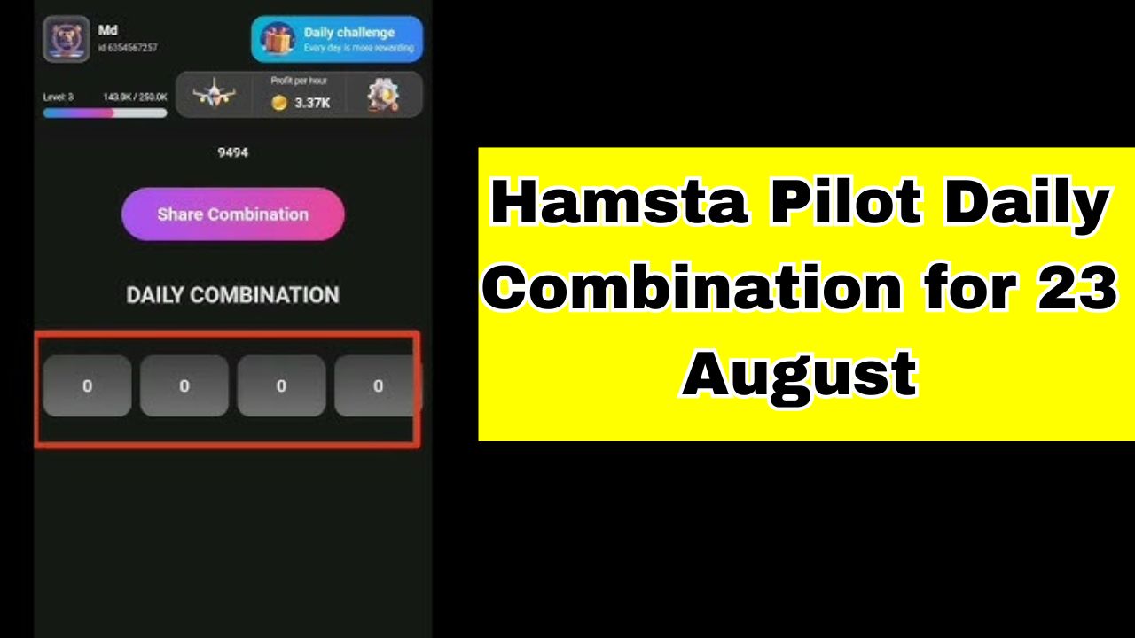 Hamsta Pilot Daily Combination for 23 August