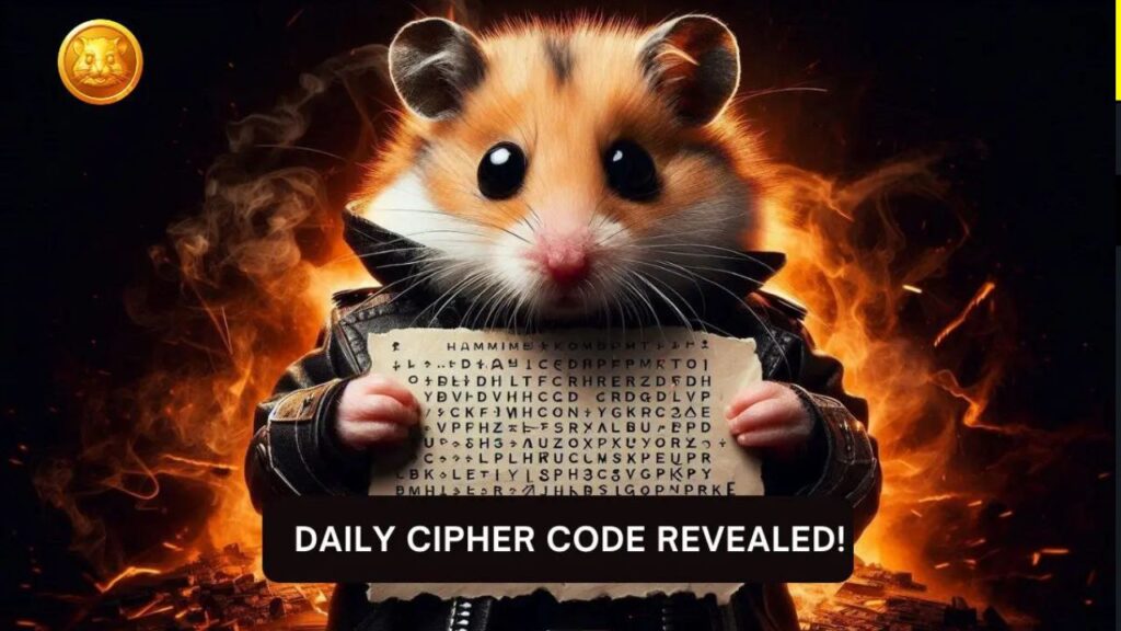 Hamster Kombat Cipher Code August 13