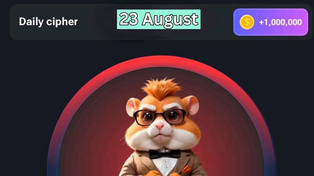 Hamster Kombat Cipher Morse Code August 23