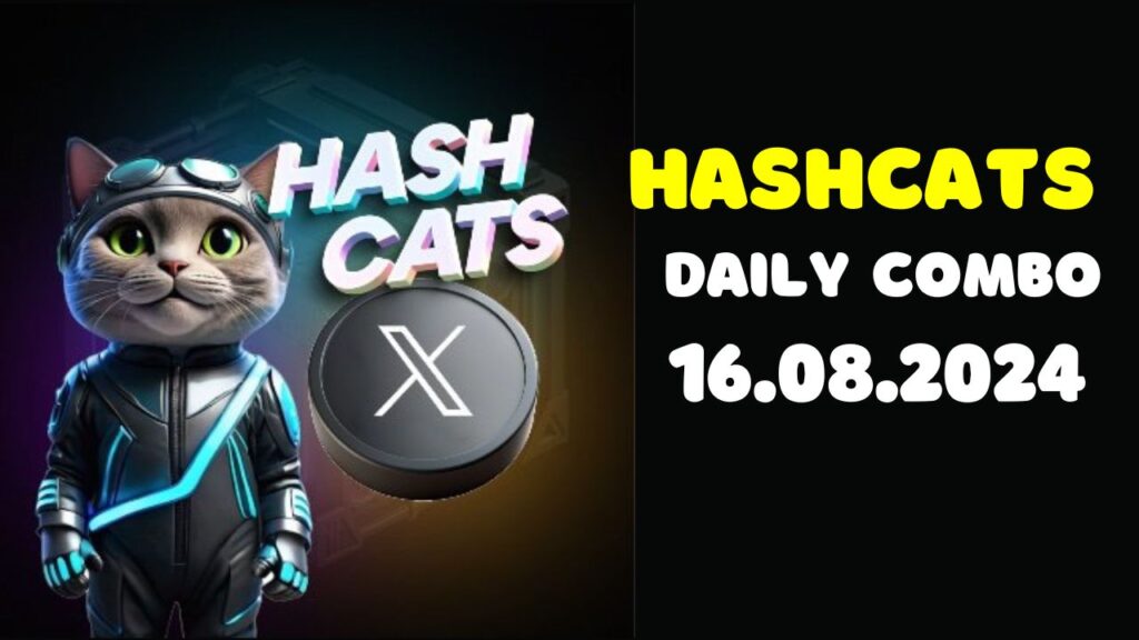 HashCats Daily Combo 16 August