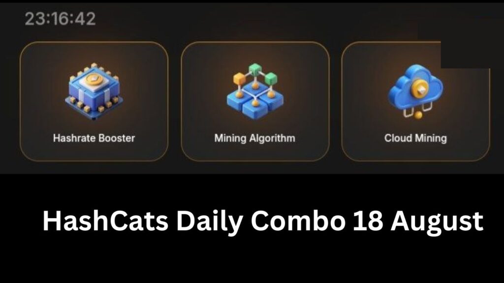 HashCats Daily Combo 18 August