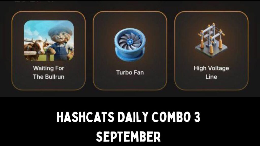 HashCats Daily Combo 3 September