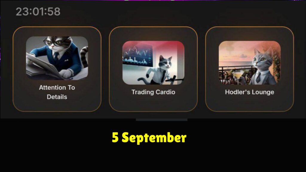 HashCats Daily Combo 5 September