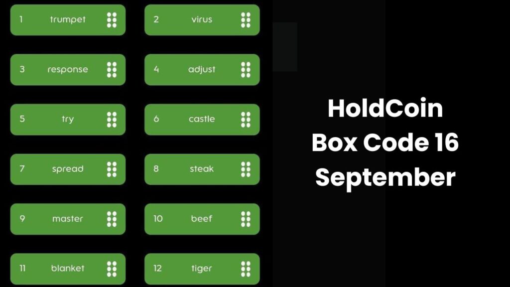 HoldCoin Box Code 16 September