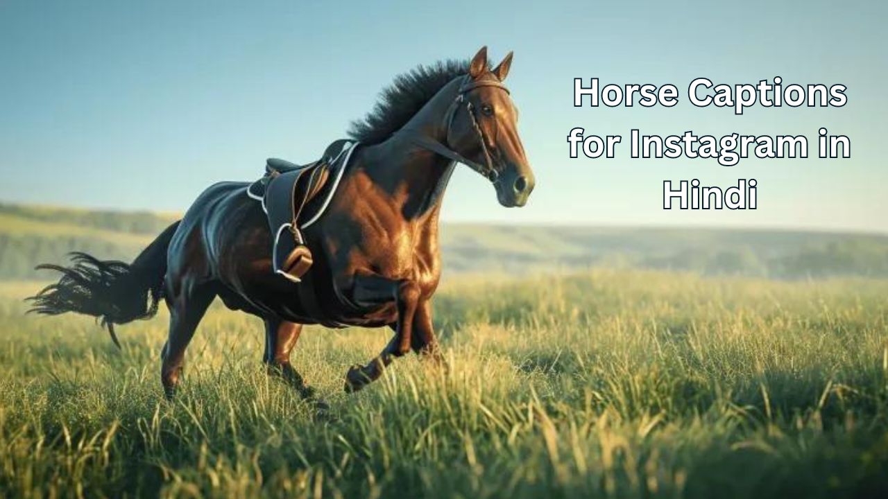 99-best-horse-captions-for-instagram-in-hindi