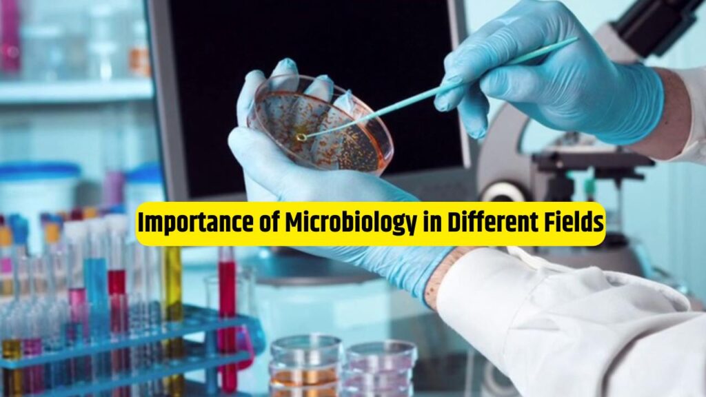 Importance of Microbiology in Different Fields