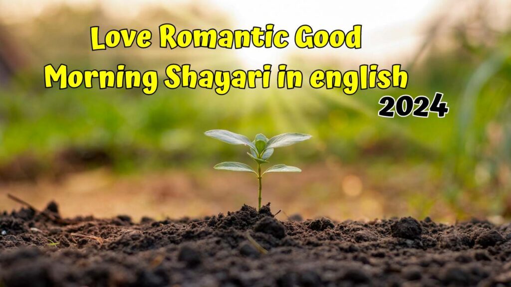 Love Romantic Good Morning Shayari in english