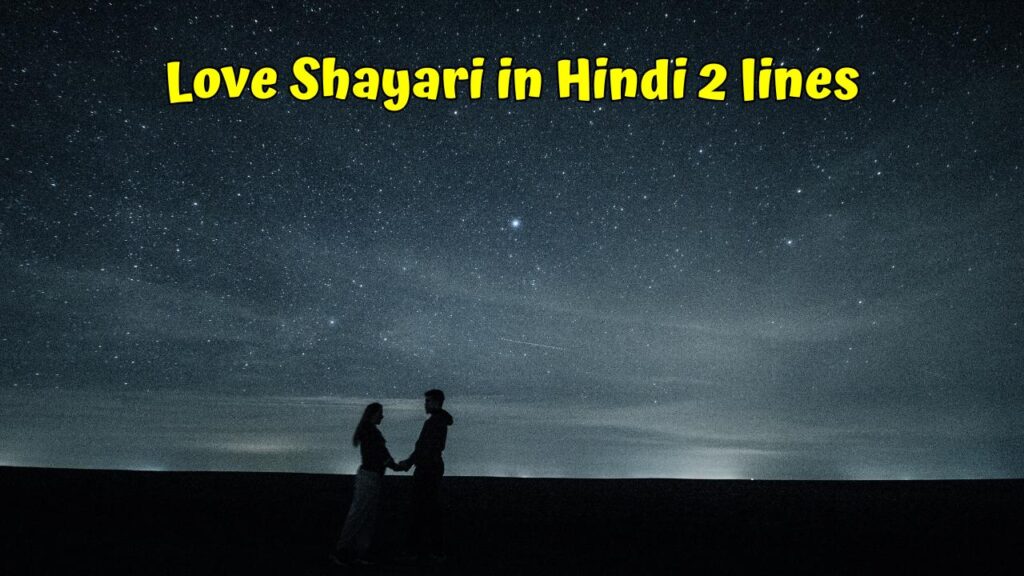Love Shayari in Hindi 2 lines