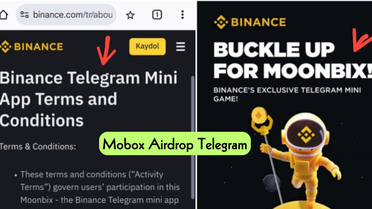 Mobox Airdrop Telegram