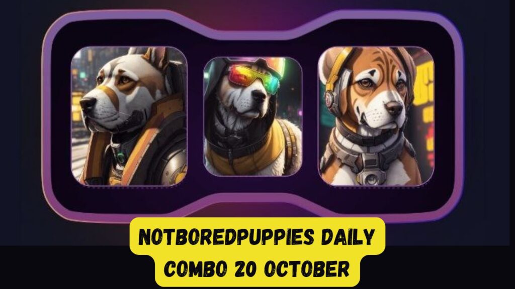 NotBoredPuppies Daily Combo 20 October